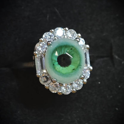 CUSTOM EYE ACCESSORIES (DM IG: eccentric_manor)